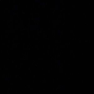 Meet your Posher, Maureen